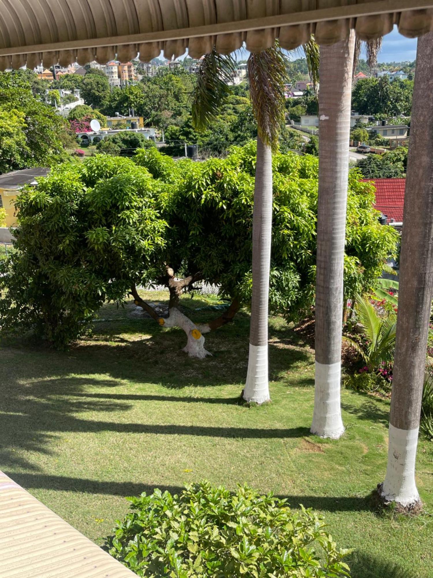 Three Palm Villa Montego Bay Exterior foto